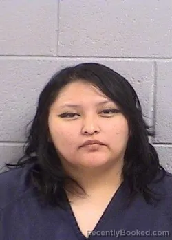 Mugshot of Tanisha Rae Yellowhorse booked in San Juan County, New Mexico on August 11, 2026