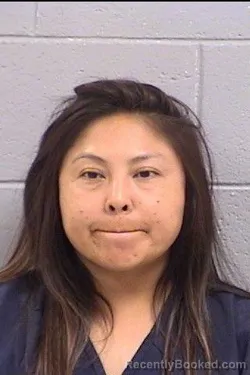 Mugshot of Dellyse Brittany Chase booked in San Juan County, New Mexico on August 15, 2026
