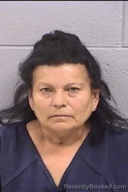 Mugshot of Demecia Missy Nunez booked in San Juan County, New Mexico on August 15, 2026