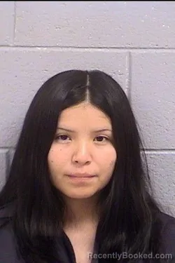 Mugshot of Jasmin Denea Grisham booked in San Juan County, New Mexico on August 15, 2026