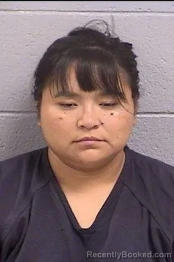 Mugshot of Chantelle Raeann John booked in San Juan County, New Mexico on August 22, 2026
