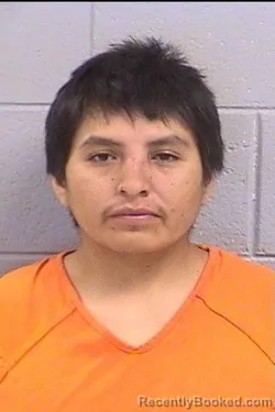 Mugshot of Ronell Ray Nosie booked in San Juan County, New Mexico on October 3, 2026