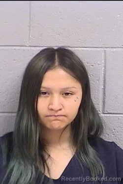 Mugshot of Harmony Angel James booked in San Juan County, New Mexico on October 10, 2026