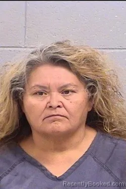 Mugshot of Lisa Ann Lewis booked in San Juan County, New Mexico on October 10, 2026