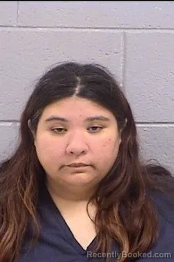 Mugshot of Joana Tellez booked in San Juan County, New Mexico on October 14, 2026