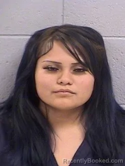 Mugshot of Shandiin Mae Billsie booked in San Juan County, New Mexico on October 17, 2026