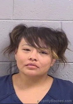 Mugshot of Shakisha Mary Jameson booked in San Juan County, New Mexico on July 4, 2026