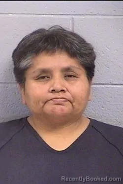 Mugshot of Lisa Renee Morgan