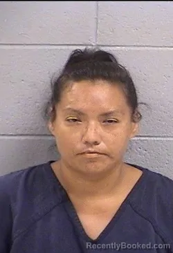 Mugshot of Nicole Elizabeth Dale booked in San Juan County, New Mexico on September 27, 2026