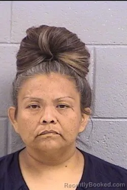 Mugshot of Nastashia Michelle Hoskie booked in San Juan County, New Mexico on August 13, 2026