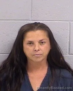 Mugshot of Deena Paulett Wisner booked in San Juan County, New Mexico on June 25, 2026