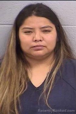 Mugshot of Fern Heather Begay booked in San Juan County, New Mexico on August 16, 2026