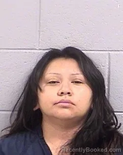 Mugshot of Lana Chiree Hunt booked in San Juan County, New Mexico on August 3, 2026