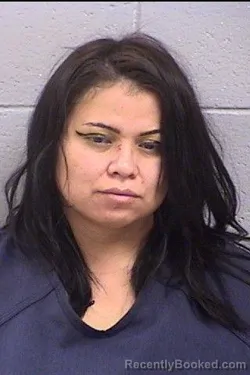 Mugshot of Brandy Renee Johnson