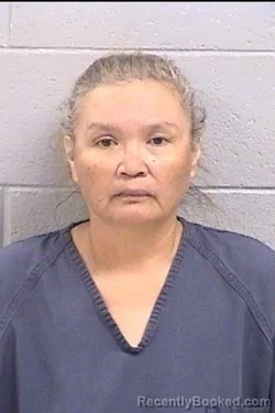 Mugshot of Vickie Ann James booked in San Juan County, New Mexico on October 8, 2026
