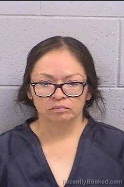 Mugshot of Harrietta Etcitty Wilson booked in San Juan County, New Mexico on May 7, 2026