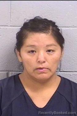 Mugshot of Natasha Lynn Lee booked in San Juan County, New Mexico on August 1, 2026