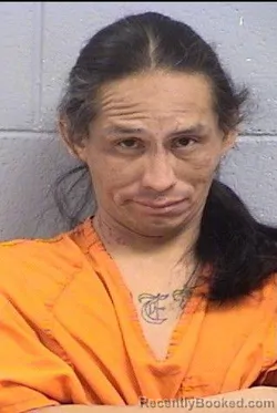 Mugshot of Brandon John Hower