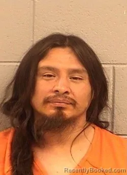 Mugshot of Steven Junior Attson