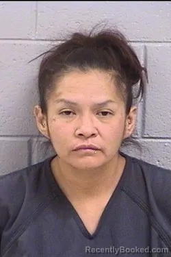 Mugshot of Larissa Lynn Shirley