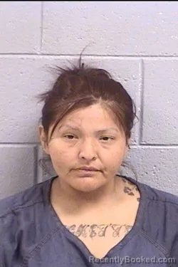 Mugshot of Nikki Thompson booked in San Juan County, New Mexico on October 12, 2026