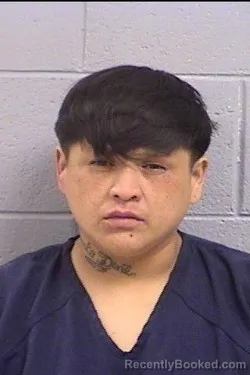 Mugshot of Stacey Cee Cly booked in San Juan County, New Mexico on April 5, 2026