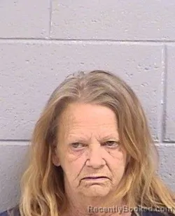 Mugshot of Toni Sue Phelps booked in San Juan County, New Mexico on July 1, 2026