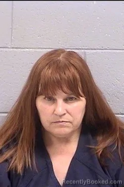 Mugshot of Tammy Ann Hartwig booked in San Juan County, New Mexico on October 8, 2026