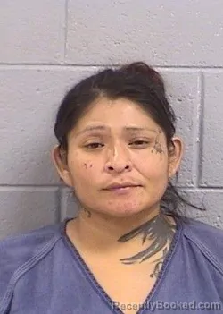 Mugshot of Monica Jill Tabbee booked in San Juan County, New Mexico on October 11, 2026