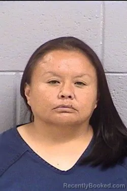 Mugshot of Kamini Faye Harrison booked in San Juan County, New Mexico on August 4, 2026