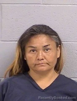 Mugshot of Cynthia Rae Teller booked in San Juan County, New Mexico on June 28, 2026