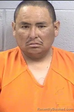 Mugshot of Lionel Lee