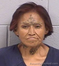 Mugshot of Rachel Ann Lopez booked in San Juan County, New Mexico on July 3, 2026