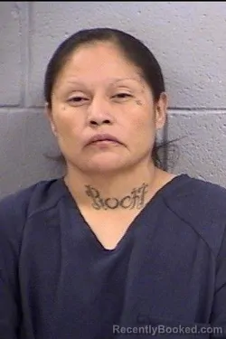 Mugshot of Tiffany Sue Pioche booked in San Juan County, New Mexico on October 17, 2026