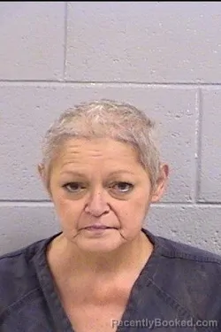 Mugshot of Elizabeth Marie Stevens booked in San Juan County, New Mexico on October 17, 2026