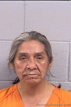 Mugshot of James Eugene Lee