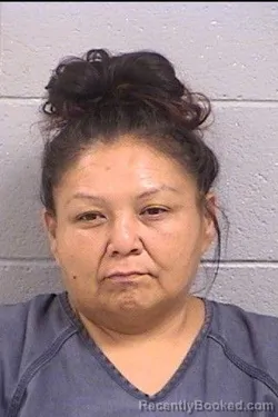 Mugshot of Melissa Ann Simpson booked in San Juan County, New Mexico on August 8, 2026