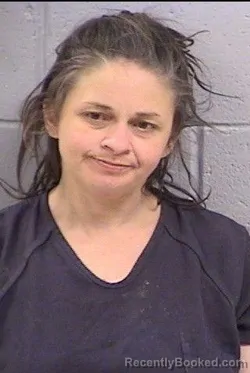 Mugshot of Jennifer Lee Brown
