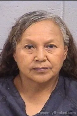 Mugshot of Wilhelmina Ann Jim booked in San Juan County, New Mexico on September 27, 2026