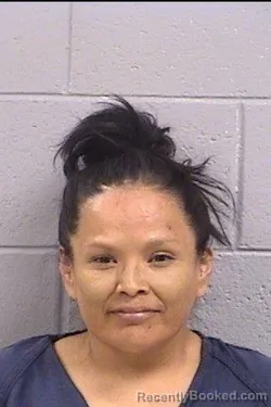 Mugshot of Natasha Dawn Antonio