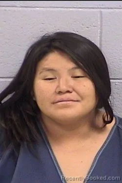 Mugshot of Ashlee Anna Johnson booked in San Juan County, New Mexico on June 17, 2026