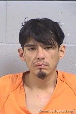 Mugshot of Jamell Julian Nelson