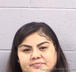 Mugshot of Carrilyn Begay