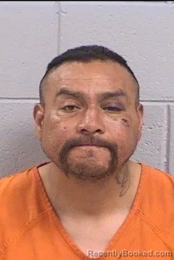 Mugshot of Ronald Otto Hungary