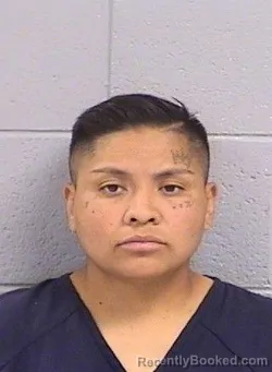 Mugshot of Jordynn Mae Armijo