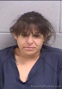 Mugshot of Elaina Veree Chavez booked in San Juan County, New Mexico on June 16, 2026