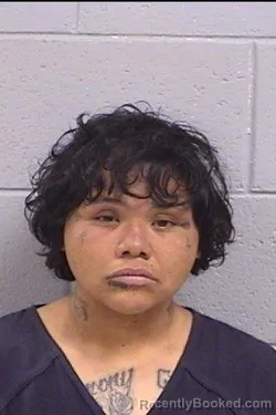 Mugshot of Melanie Alicia Cooktyndall