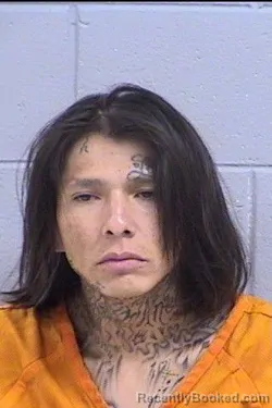 Mugshot of Trevor Roy Johnson booked in San Juan County, New Mexico on June 16, 2026