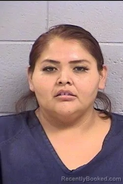 Mugshot of Audreanne Jim booked in San Juan County, New Mexico on August 21, 2026