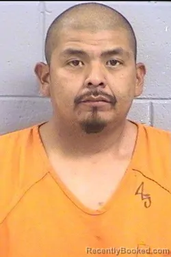 Mugshot of Karyle Archie Nelson